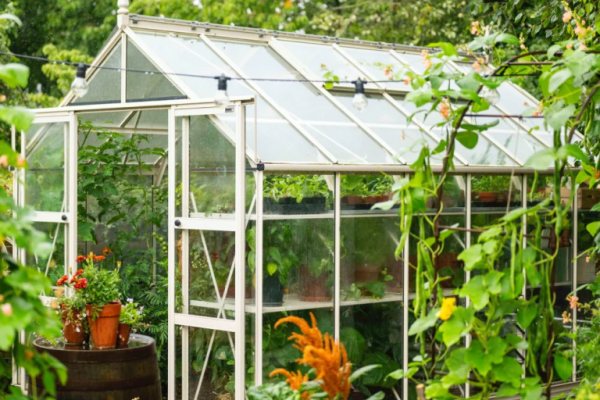 HMS-Greenhouse-Removal-Wool-Dorset